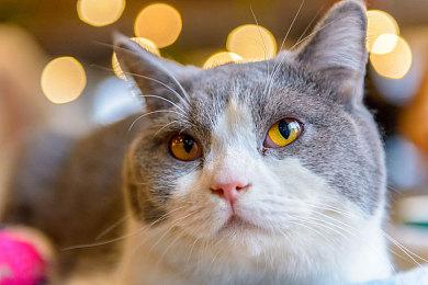 初中生偷转37万元充值游戏 腾讯支招防沉迷神器